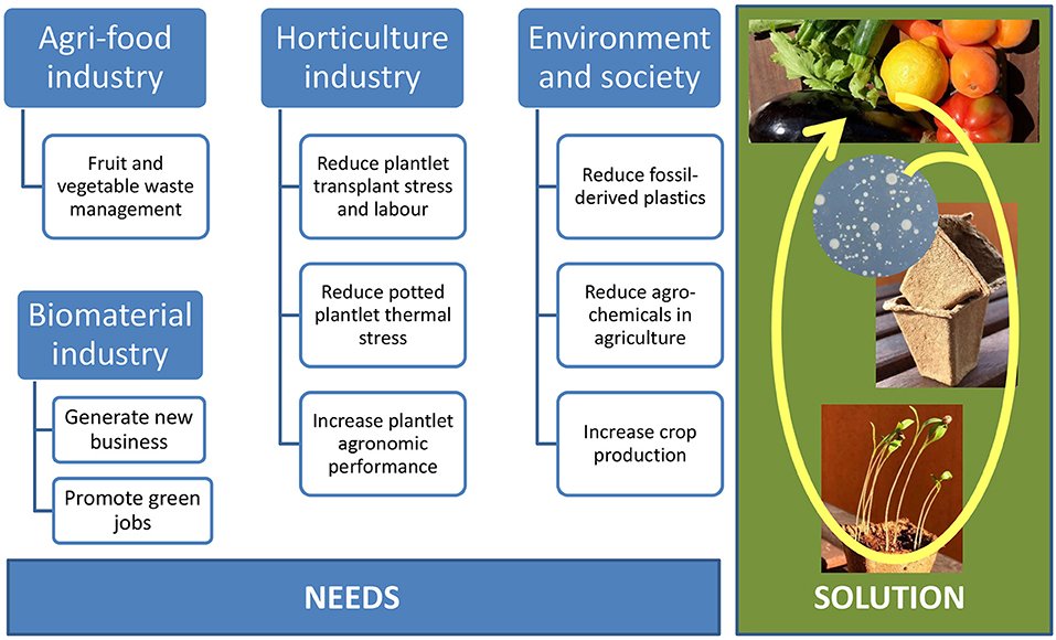 How to manage food waste for a greener future inspider